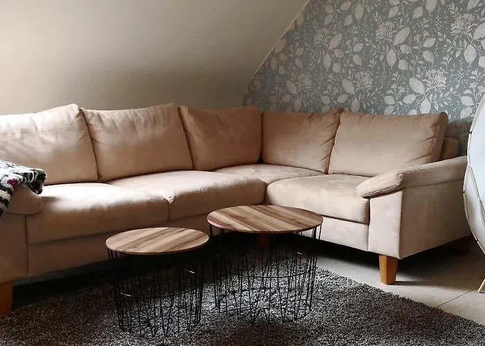 Gebauer * 霍恩巴赫